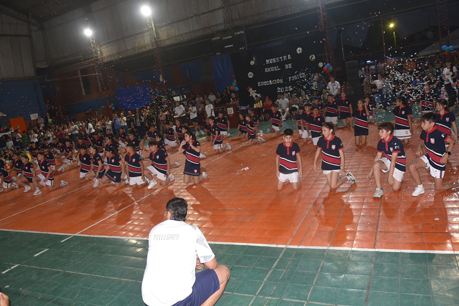 Muestra Anual de Educación Física Nivel Inicial y Primario